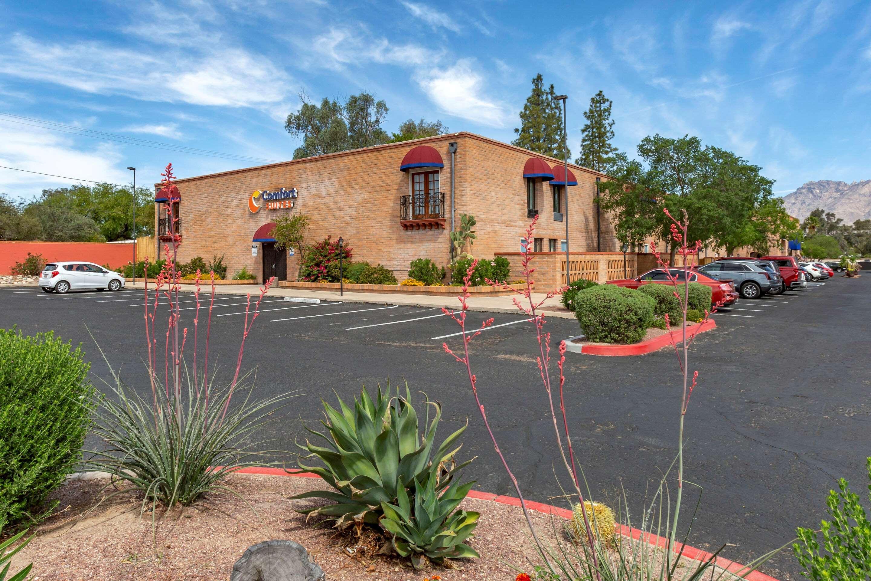 Comfort Suites At Sabino Canyon Tucson Exteriér fotografie